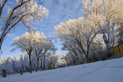 温冬冰霜加拿大萨斯喀彻温冰风暴危险高清图片下载-正版图片307291063-摄图网