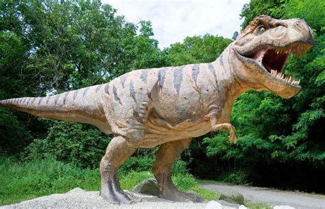 真正的恐龙到底长什么样？我们对恐龙的认识可能有些偏差_自贡大洋艺术有限责任公司