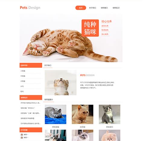 宠物网站模板_宠物网页设计模板_宠物网站模板免下载-凡科建站
