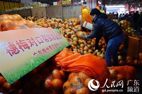 广东梅州农业开创“四类市场” 无缝融合线上线下产销对接平台|农业|农业局_凤凰资讯