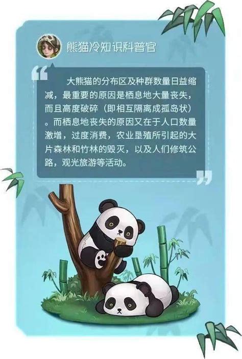 把熊猫做进游戏，《第五人格》让人看到游戏公益的更多可能性 _摸会儿鱼|游民星空