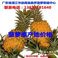 2020年中国菠萝产业市场发展现状及未来发展方向分析[图] 导读： 菠萝属凤梨科，又称凤梨、番梨和黄梨等，是世界热区重要的水果之一。全球菠萝 ...