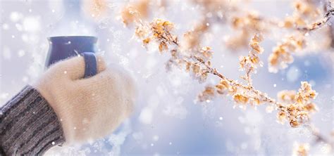 冬季热饮、雪景浅紫色唯美冬季温暖高清摄影大图-千库网