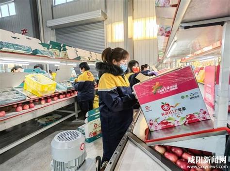 咸阳：优化果业产业结构 推动了全市果业转型升级|咸阳市_新浪新闻