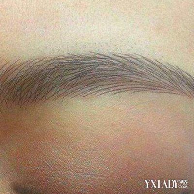【图】纹眉毛有哪几种？ 4种类型你喜欢哪种(2)_纹眉毛有哪几种_伊秀美容网|yxlady.com