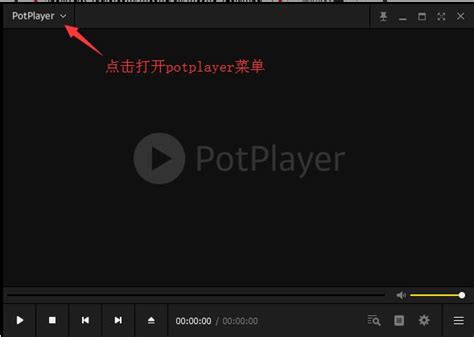 PotPlayer中文版官方下载-PotPlayer播放器(32位|64位)绿色版下载-华军软件园