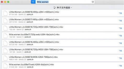 Mac怎么打开bt种子文件 bt种子怎么下载-Folx中文官网
