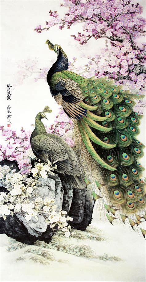 国画孔雀大全图片