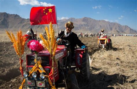 西藏各地农村春耕开犁 粮食产量已实现五连增 - 聚焦三农 - 中国网 • 山东