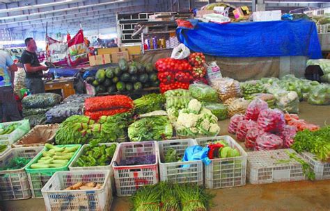C视频 | 探访西南最大农产品市场 成都农产品供应充足_四川在线