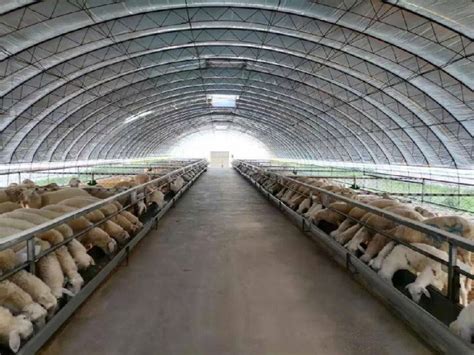 【我们这十年】甘南州：推动牦牛产业高质量发展_养殖_加工_农产品