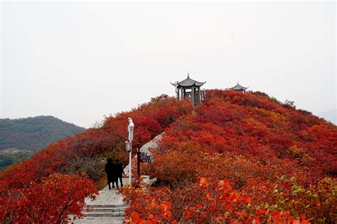 郑州周边爬山的地方有哪些_旅泊网