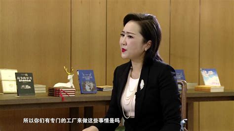垦鑫达集团董事长张海军专访3_腾讯视频