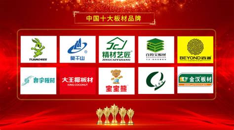 2016年中国十大板材品牌榜中榜 - 中国品牌榜