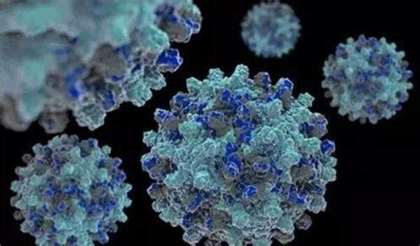 对埃博拉病毒进行显微镜研究图片-科学家在血液样本中对埃博拉病毒进行显微镜研究素材-高清图片-摄影照片-寻图免费打包下载