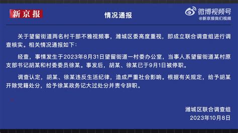 开除党籍！山东潍坊通报村干部不雅视频事件 两人被处分_手机新浪网