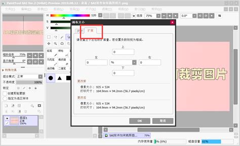 SAI软件如何裁剪图片？这是简单的操作方法一-SAI绘画软件-PainttoolSAI教程