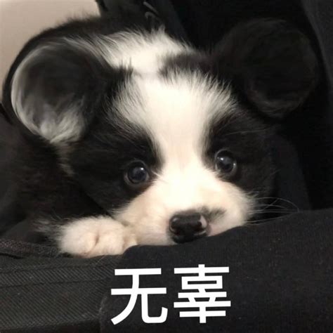 无辜妆图片