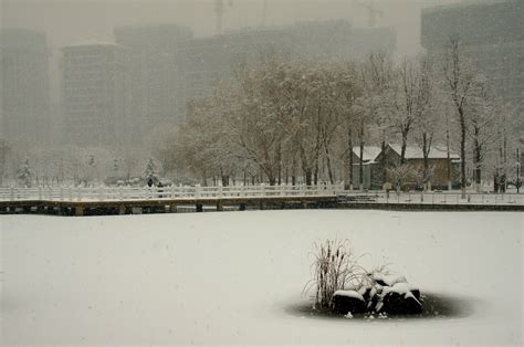 2021年北京第一场雪！来！了！