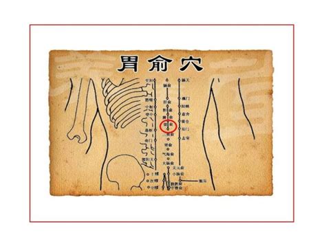 胃俞的准确位置图图片