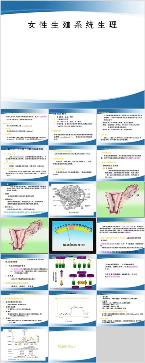 男女生殖系统结构和功能了解_word文档在线阅读与下载_无忧文档