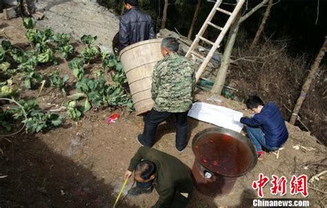 四川广元：农妇被巫师装进木桶蒸驱鬼魂治病致死_新闻频道_中国青年网