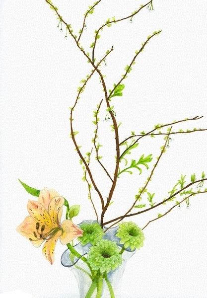 井上瞳图片