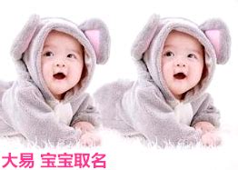2015十二个月份羊宝宝的命运_天津起名_企业起名泰斗!大易起名13920393088杜易知