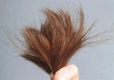 吃什么长头发又密又多还能防止脱发？常吃这些不用担心头发掉光 - 知乎