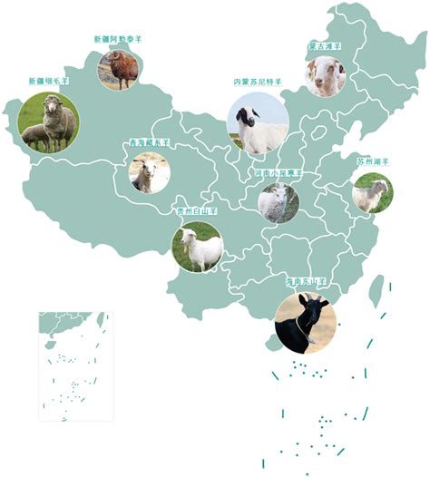 羊：中国名羊地图