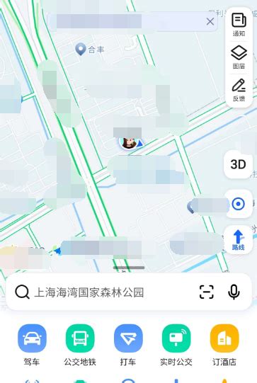 高德街景地图图片