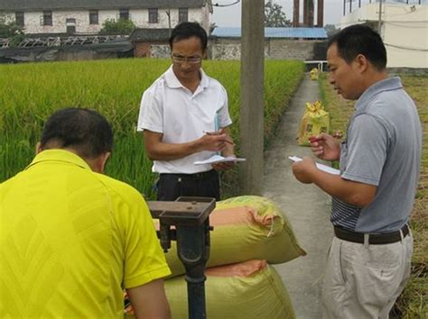 贺州市：农机推广站协助八步区农科所开展水稻试验测产工作_农机推广_农机通
