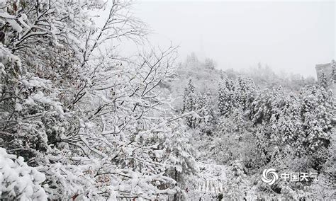 城口县城迎来今冬首次降雪-高清图集-中国天气网