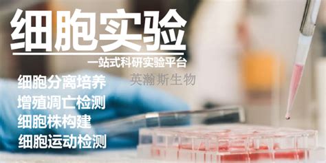 四川专门做细胞实验外包价格 来电咨询「南京英瀚斯生物科技供应」 - 水专家B2B