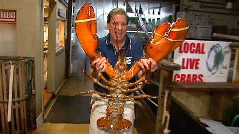 世界上最大的龙虾