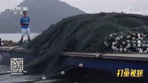 拦网、刺网、张网，千岛湖采用巨网捕鱼法，一次就能捕5万斤