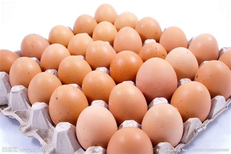 2021年11月25日全国鸡蛋早间价格行情参考 - 知乎