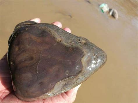 河边捡的石头怎么分辨,河里捡玉石辨认技巧,河边最常见的石头_大山谷图库