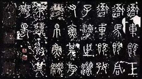 汉字的演变过程图简述（中国汉字字体的演变） | 说明书网