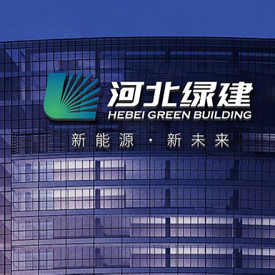 石家庄企业敬业集团首次上榜世界500强_手机新浪网