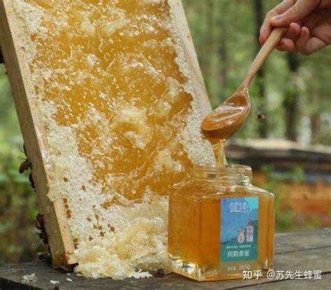 一杯清水教你如何辨别真假土蜂蜜