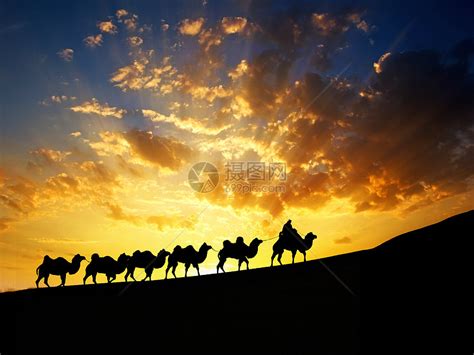 夕阳下的沙漠和骆驼剪影高清图片下载-正版图片500712168-摄图网