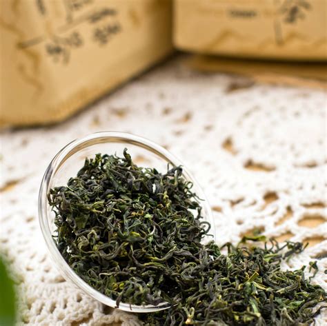 你喜欢喝崂山绿茶的哪种制茶工艺呢？-青岛崂山茶网