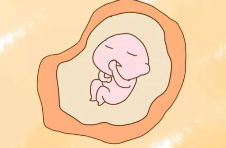 怀孕初期B超胎儿形态解析
