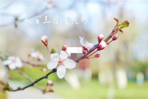 放飞心情拥抱春天png图片免费下载-素材7yzeUaekg-新图网