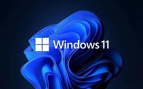 Win11一共有几个版本？Windows 11不同版本的区别有哪些？ - 系统之家