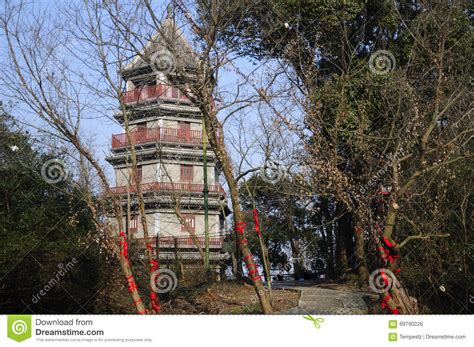Mina Del Jardín Botánico De Chenshan Imagen de archivo - Imagen de ...