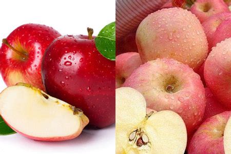 【图】苹果减肥法周期是多长 3天就可以瘦下来_苹果减肥法_伊秀美体网|yxlady.com