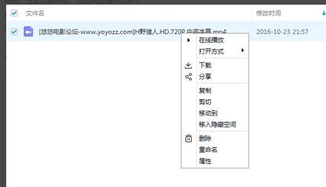 LY_百度网盘备份附件，上传的附件都自动异步备份到百度网盘，ly_baidupan - zblog插件 - 老阳插件