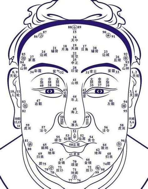 面相算命图解大全图片 面相算命图解大全图片